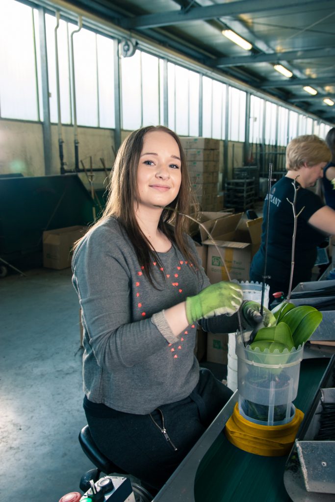 Agrarisch medewerker aan het werk