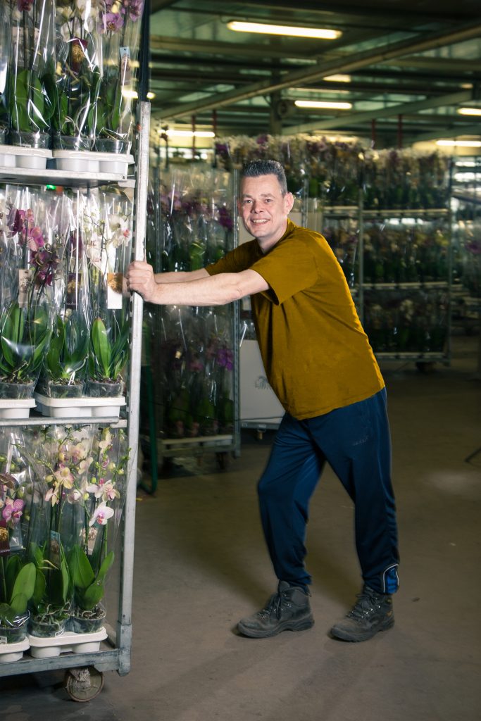 Medewerker in de logistiek in planten en bloemen